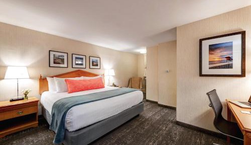 Standard King Room - Non-Smoking 