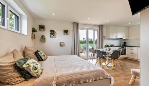 Superior One-Bedroom Apartment with Balcony