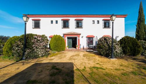 Superior Apartment with Balcony