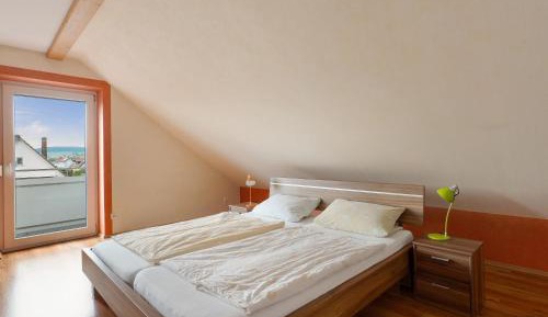 Superior One-Bedroom Apartment with Balcony