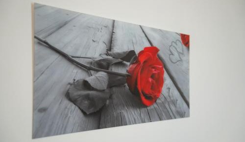 Superior One-Bedroom Apartment with Balcony