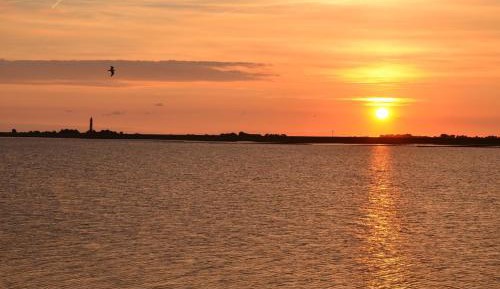 One-Bedroom Superior Apartment