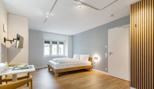 Deluxe One-Bedroom Apartment with City View