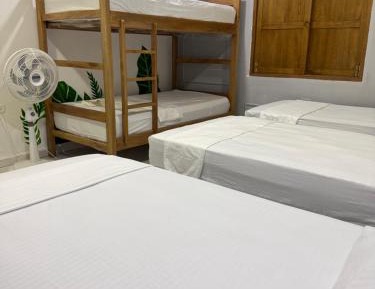 Bed in 6-Bed Mixed Dormitory Room