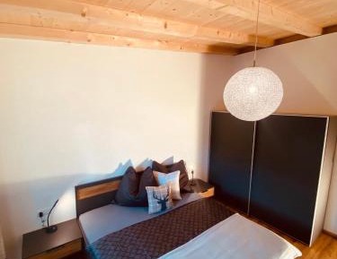 Apartment with Shower