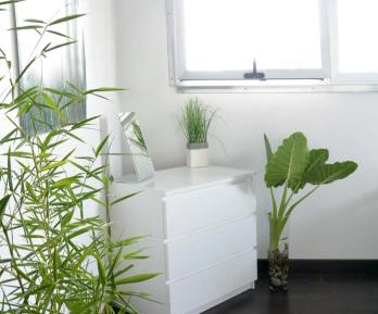 Double or Twin Room with Shared Bathroom
