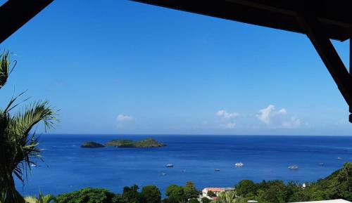 Apartment - Split Level