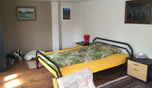 Double Room with Shared Bathroom