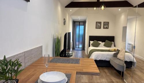 Deluxe One-Bedroom Apartment