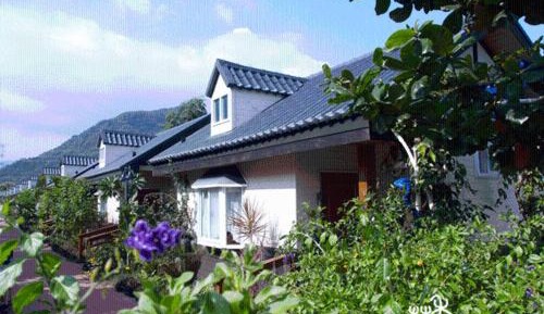 Family Room (6 Adults)