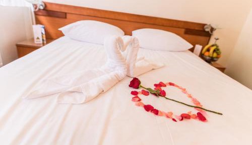 Standard Double or Twin Room with Garden View
