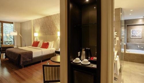 Superior Suite Room with One King Bed