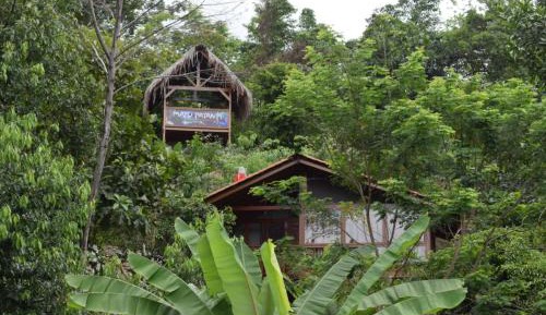 Cottage with Garden View