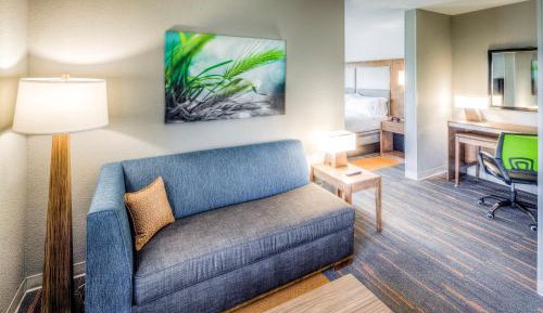 One-Bedroom King Suite with Living Area