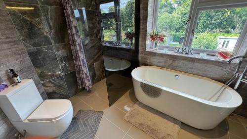 Deluxe Double Room with Bath
