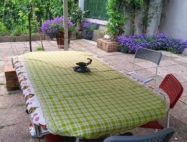 King Room with Garden View