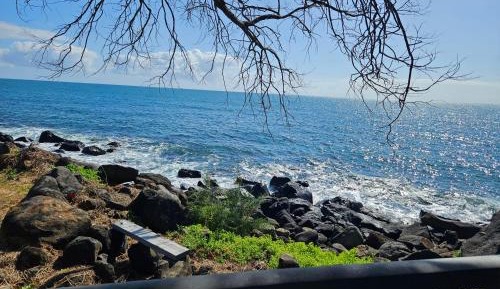 Oceanfront Cabin with Balcony