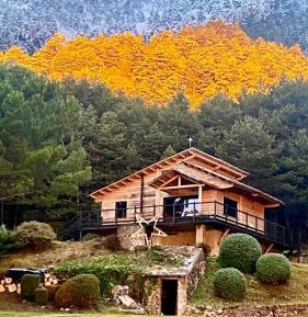 Superior Chalet