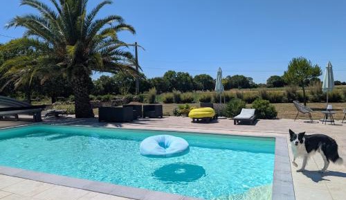 Double Room with Pool View