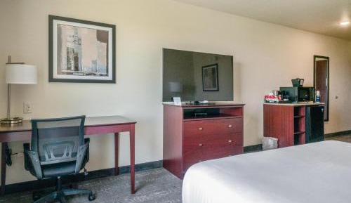 King Room with Roll-In Shower - Disability Access