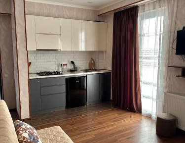 One-Bedroom Apartment with Balcony and Mountain View  