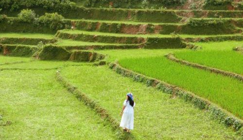 Family Room with Balcony