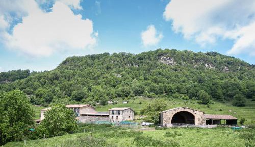 Three-Bedroom Apartment Suite