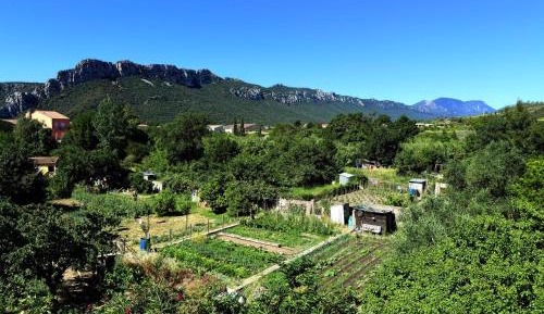 Double Room with Mountain View