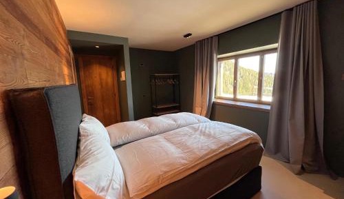 Double Room with Mountain View