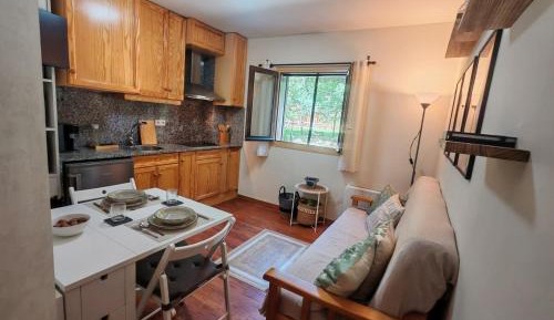 One-Bedroom Apartment with Garden