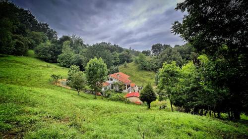Deluxe One-Bedroom Apartment with Garden View