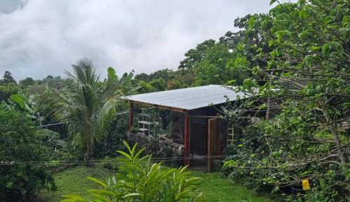 One-Bedroom Bungalow