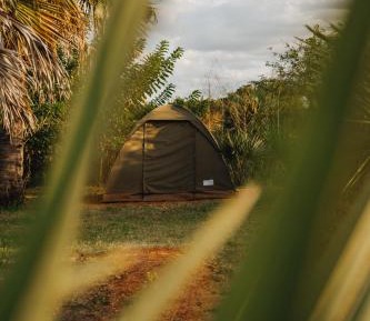 Tent
