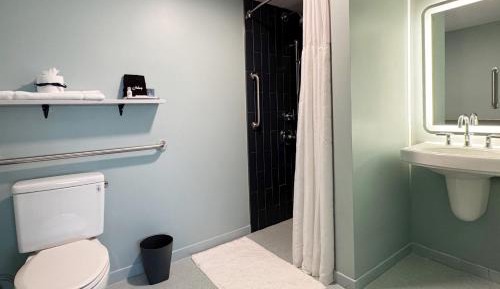 King Room with Roll-In Shower - Disability Access