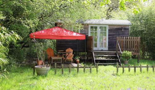 Deluxe Double Room with Shower