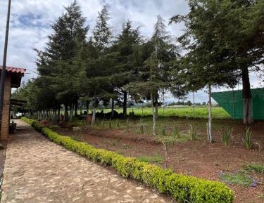Two-Bedroom Bungalow