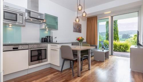 Standard One-Bedroom Apartment with Lake View