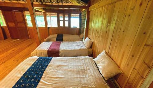 Single Bed in Mixed Dormitory Room