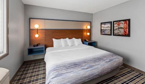 Premier One-Bedroom King Suite - Non-Smoking