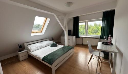 Large Double Room