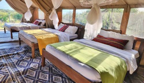 Extended Family Tent