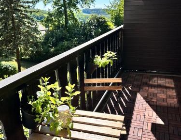 Superior One-Bedroom Apartment with Balcony