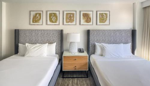 Queen Room - Disability Access