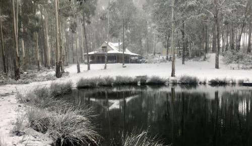 Four-Bedroom Vacation Home