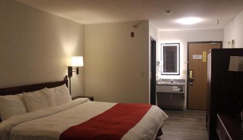 Single Room - Disability Access