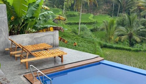 Double Room with Pool View