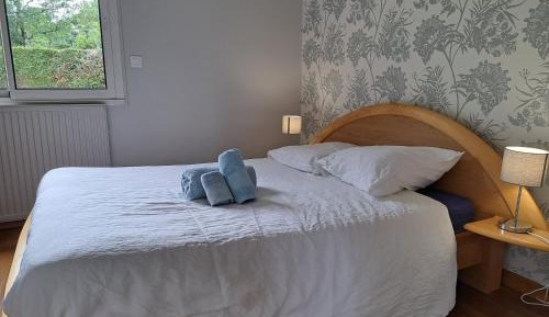 Double Room with Private Bathroom