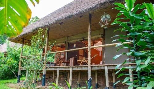 Double Room with Park View