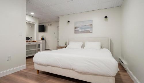 Deluxe Suite with Spa Bath