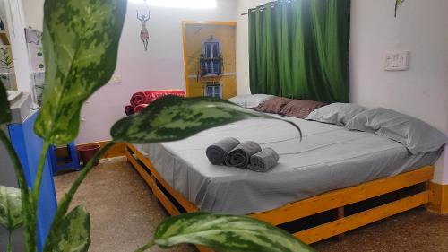 10-Bed Mixed Dormitory Room